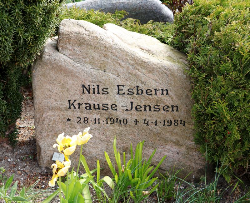 Nils Esbern Krause-Jensen.JPG